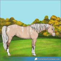 Horse Color:Powder White Silver Brown Dun