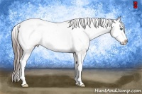 Horse Color:Grullo Splash Snowcap Rabicano 