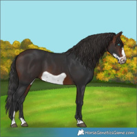 Horse Color:Brown Frame