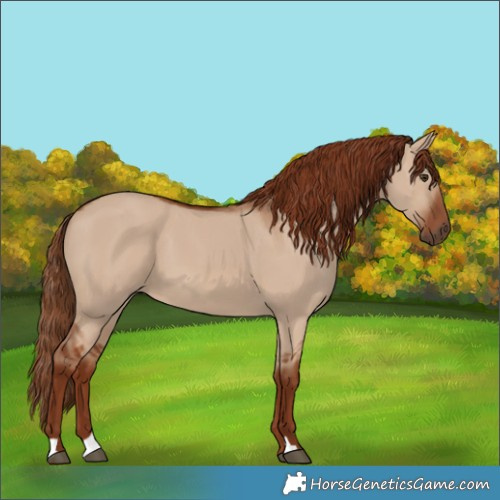 Horse Color:Red Dun 