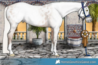 Horse Color:Gray Silver Amber Champagne Near Leopard 