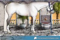 Horse Color:Gray Silver Bay