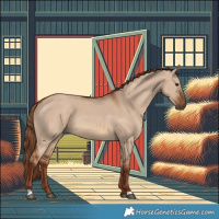 Horse Color:Red Dun 