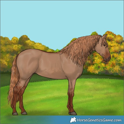 Horse Color:Unknown 