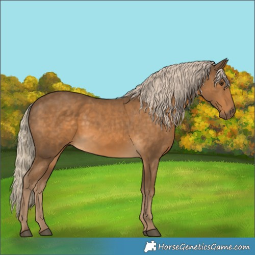 Horse Color:Chocolate Palomino 