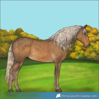Horse Color:Chocolate Palomino 