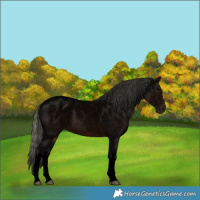 Horse Color:Void White Spotted Liver Chestnut Mushroom Varnish 