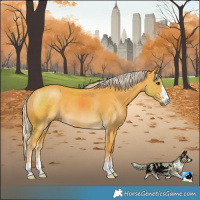 Horse Color:Palomino