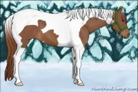 Horse Color:Chestnut Tobiano