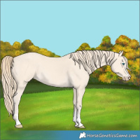 Horse Color:Perlino 