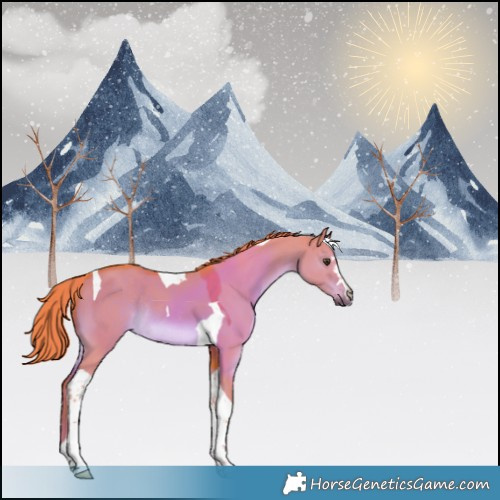 Horse Color:Watercolor Liver Red Dun Tobiano Rabicano 