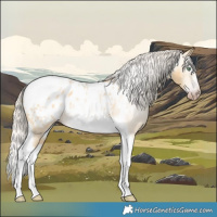 Horse Color:Gray Silver Amber Cream Champagne Roan Dun Splash Tobiano Frame Appaloosa Rabicano 