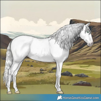 Horse Color:Gray Silver Amber Cream Champagne Roan Dun Splash Tobiano Frame Blanket Rabicano 