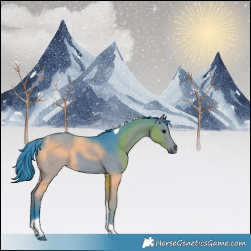 Horse Color:Watercolor Black Tobiano Rabicano 
