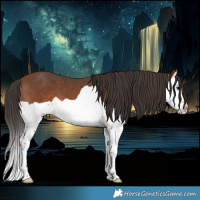 Horse Color:Bay Splash 