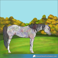 Horse Color:Nacre Grullo Ice 