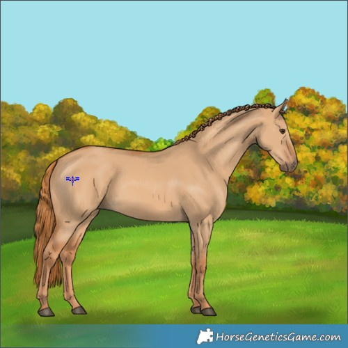 Horse Color:Red Dun