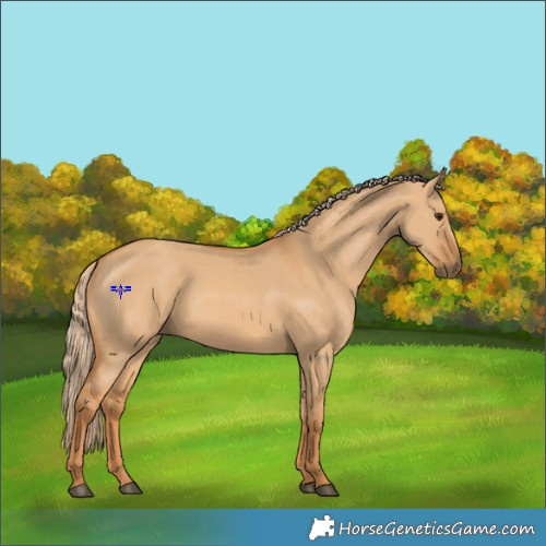 Horse Color:Red Dun 