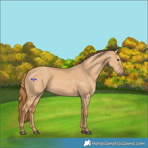 Horse Color:Red Dun