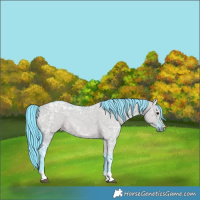Horse Color:Watercolor Grullo Ice Rabicano 