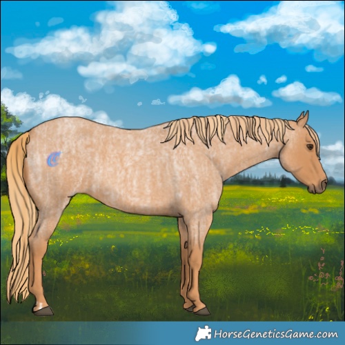Horse Color:Red Roan  and Red Roan 