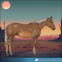 Horse Color:Chocolate Palomino 