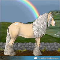 Horse Color:Palomino Frame Appaloosa 