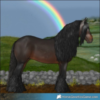 Horse Color:Gray White Spotted Bay 