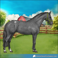 Horse Color:Black Varnish 