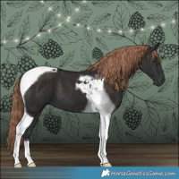 Horse Color:Liver Chestnut Tobiano 