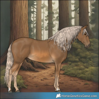 Horse Color:Chocolate Palomino 