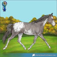 Horse Color:White Spotted Liver Chestnut Mushroom Varnish Rabicano 