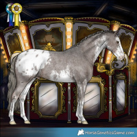 Horse Color:White Spotted Liver Chestnut Mushroom Varnish Rabicano 