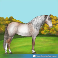 Horse Color:Gray Liver Chestnut Pearl Tobiano 