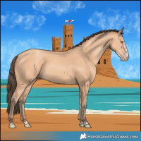 Horse Color:Amber Champagne 