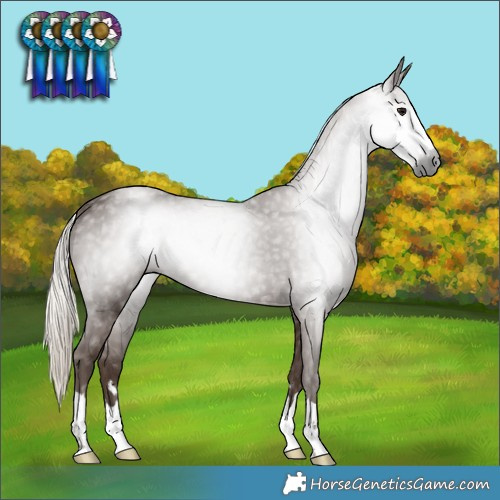 Horse Color:Gray Silver Black 
