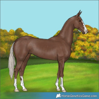 Horse Color:Silver Black
