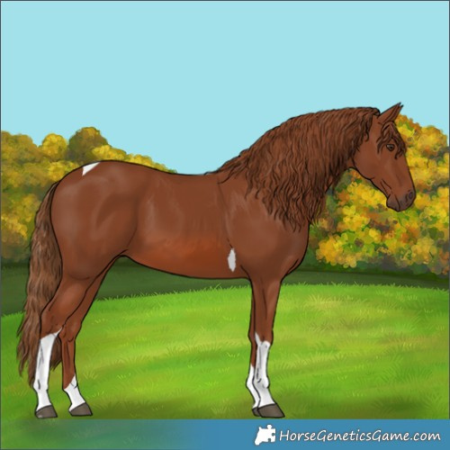 Horse Color:Chestnut Tobiano 