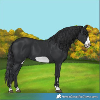 Horse Color:Black Frame