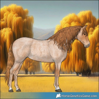 Horse Color:Red Roan 