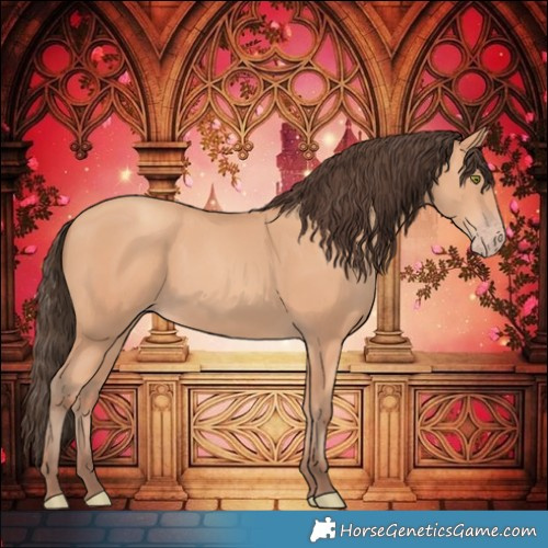 Horse Color:Amber Champagne 