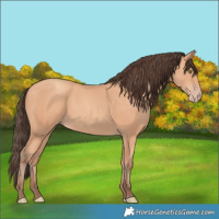Horse Color:Amber Champagne 