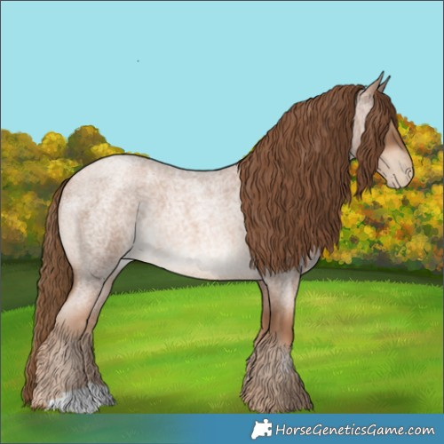 Horse Color:Liver Red Roan Pearl