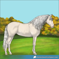 Horse Color:Cremello 