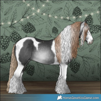 Horse Color:Gray White Spotted Liver Chestnut Tobiano 