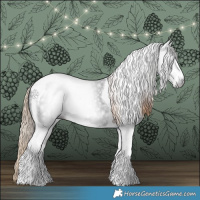 Horse Color:Gray White Spotted Liver Chestnut Tobiano 