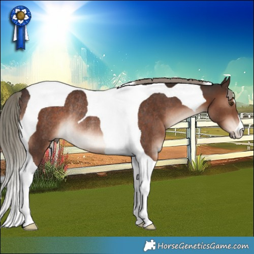 Horse Color:Liver Chestnut Mushroom Tobiano Rabicano