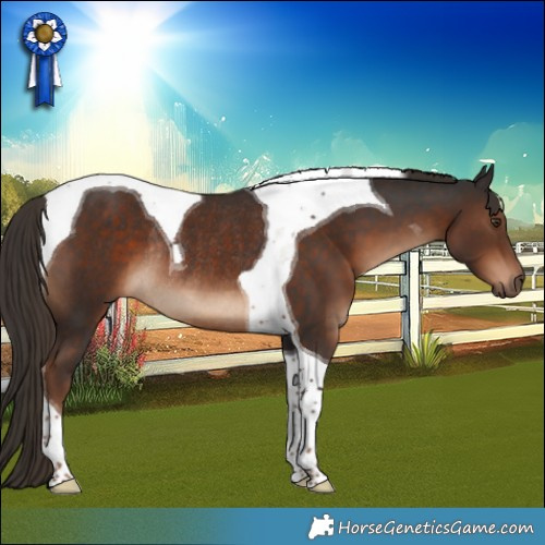 Horse Color:Liver Chestnut Tobiano Rabicano 