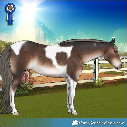 Horse Color:Liver Chestnut Mushroom Tobiano Rabicano