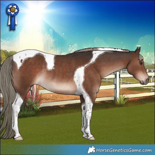Horse Color:Liver Chestnut Mushroom Tobiano Rabicano